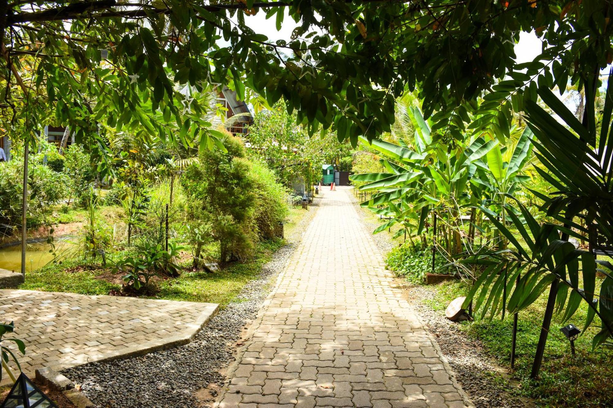 Steps Garden Resort Negombo Buitenkant foto